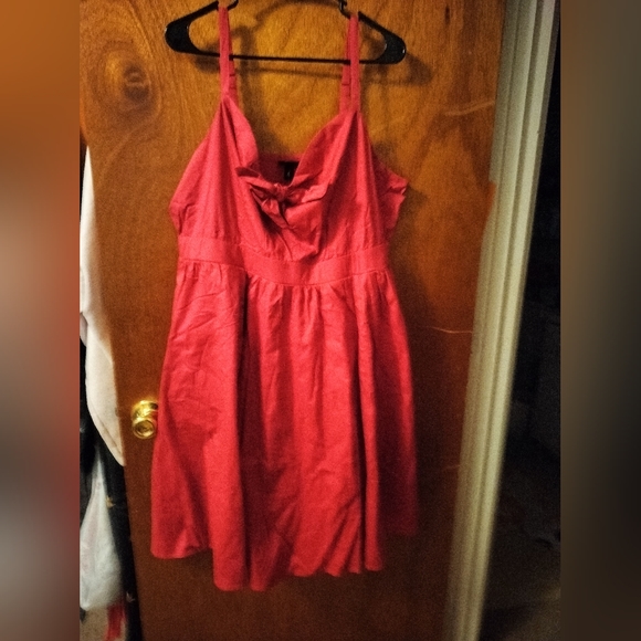 Raspberry Tank Dress (Torrid) - Picture 1 of 6